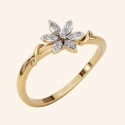 Generic Rings 4